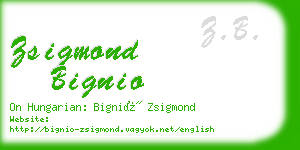 zsigmond bignio business card